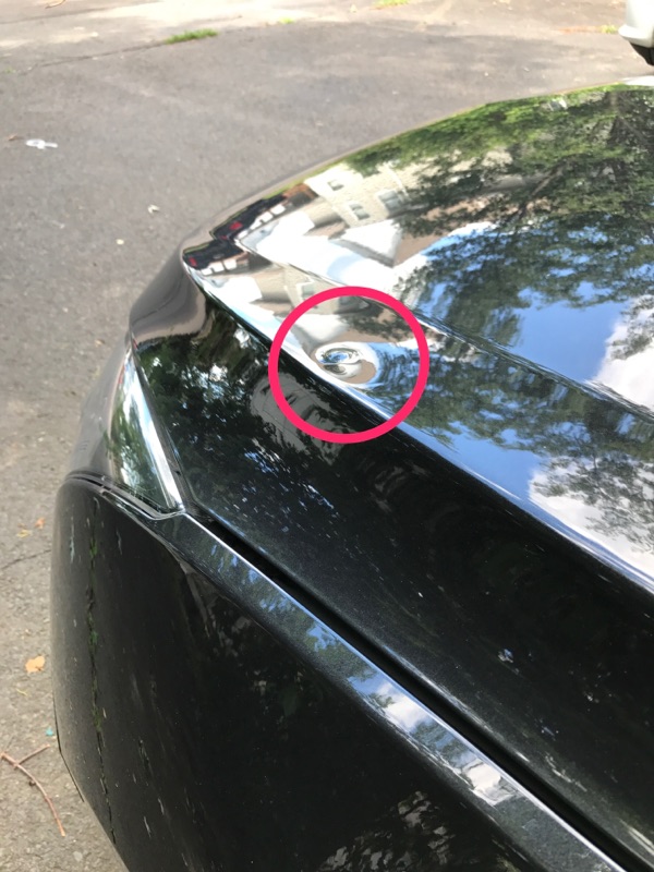 paintless dent repair